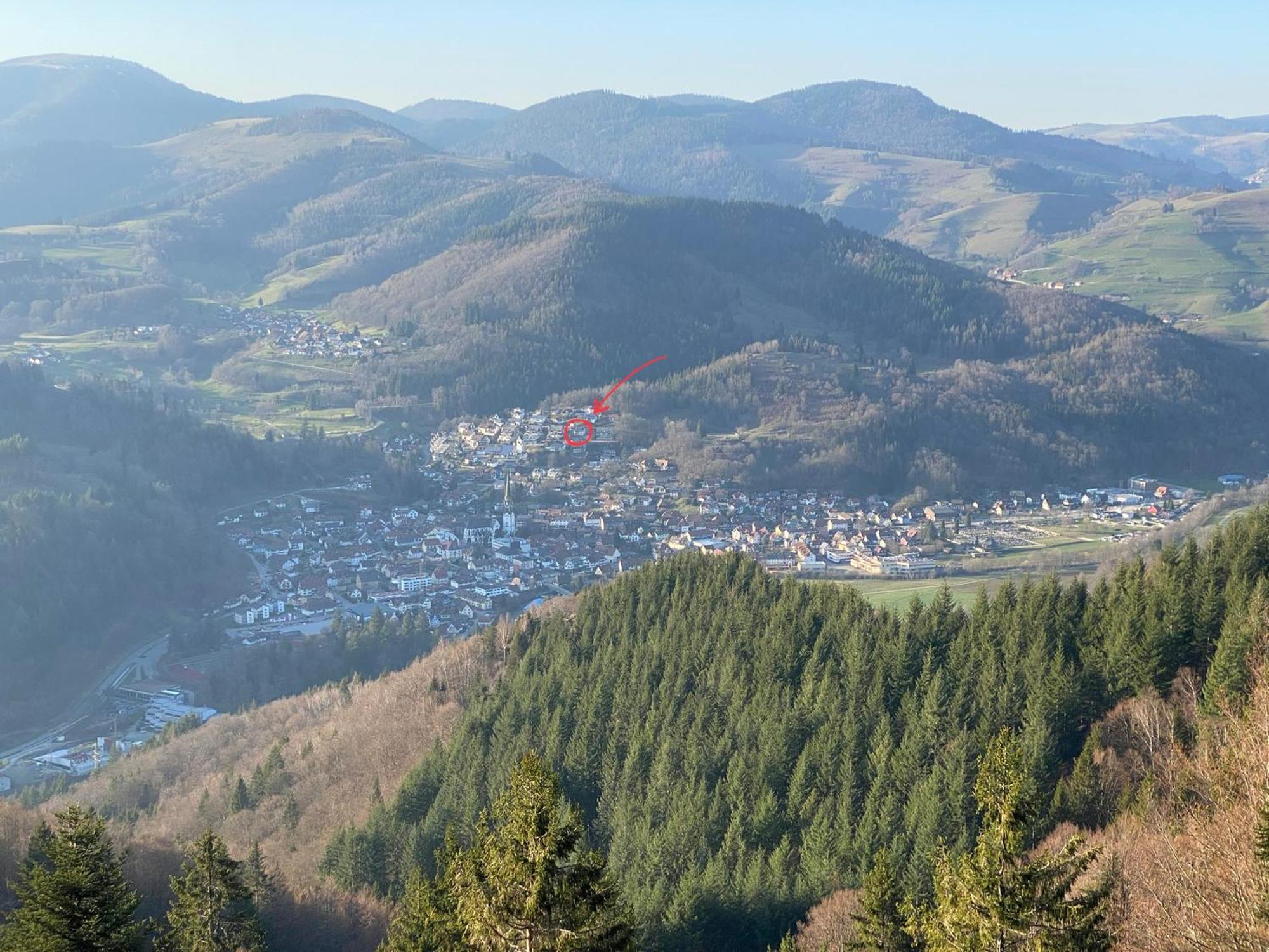 Ferienwohnung Traumblick Schönau im Schwarzwald Exterior foto